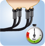 produção de leite em xinguara