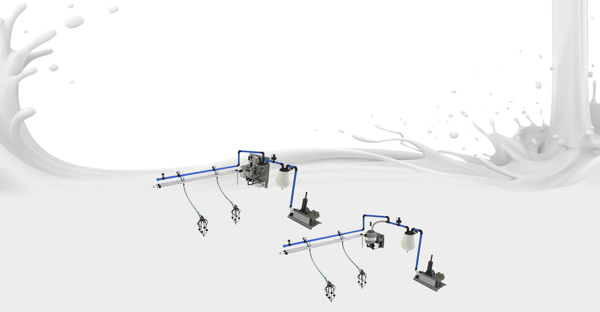 Ordenhas em Xinguara